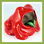 other frogs