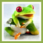 red eye tree frogs